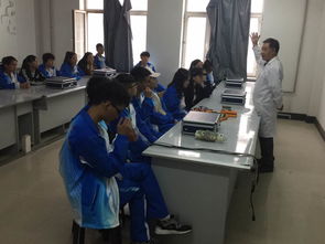 入學教育新篇章 參觀實習工廠與實驗室，開啟教育咨詢服務